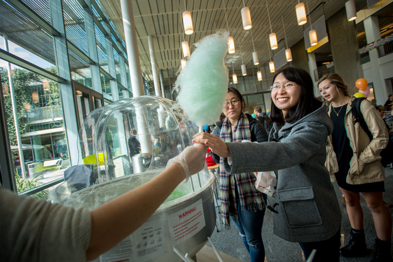 cottoncandy533.jpg